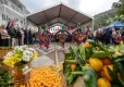 Gümüldür'de 2 gün sürecek Mandalina Festivali başladı haberinin görseli