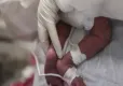 'Yenidoğan Çetesi' davasında 3.gün haberinin görseli