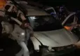 Yola çıkan domuz kazaya neden oldu! haberinin görseli