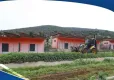Menderes can dostlar için barınak hazırlıyor haberinin görseli