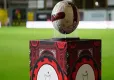 TFF,  Türkiye Kupası finalinin yapılacağı şehir ile ilgili flaş açıklama haberinin görseli