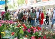 Bayındır’da 26. Uluslararası Çiçek Festivali başlıyor haberinin görseli