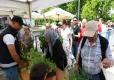 Yerel tohumlardan üretilen fideler, Efes Selçuk halkıyla buluştu haberinin görseli