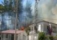 Muğla'da orman yangını! haberinin görseli