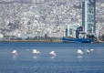 İzmir, Vilnius’ta iklim eylemi deneyimlerini paylaştı haberinin görseli