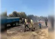 İzmir haber: Kemalpaşa'da yangın haberinin görseli
