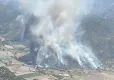 Aydın’da orman yangınına havadan ve karadan müdahale haberinin görseli