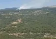 Aydın'da orman yangını:  Alevlere havadan ve karadan müdahale ediliyor! haberinin görseli