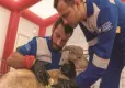HAYTAP: Tüm gücümüzle canlarımızın yanında olmaya devam edeceğiz haberinin görseli