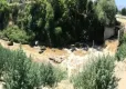 Bakanlık, Denizli Büyükşehir Belediyesi'ne ceza kesti! haberinin görseli