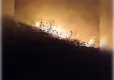 Bolu'da orman yangını haberinin görseli