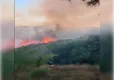 Sultangazi Mimar Sinan Kent Ormanı'nda çıkan yangın söndürüldü haberinin görseli