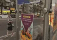 İzmir Mor Dayanışma’dan Yaz Kampı çağrısı haberinin görseli