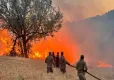 Bakan Yerlikaya açıkladı: Orman yangınları ile ilgili 4 kişi tutuklandı! haberinin görseli