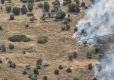 Bayındır'da zeytinlikte çıkan yangın kontrol altında haberinin görseli