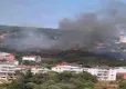 Beykoz'da orman yangını! haberinin görseli