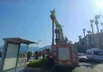 Marmaris’te deniz paraşütü palmiye ağacına takıldı haberinin görseli