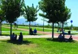 Yok böyle bir sıcak: İzmir'de rekor kırıldı haberinin görseli