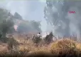 Bodrum’da otluk alanda yangın: Müdahale havadan ve karadan sürüyor haberinin görseli
