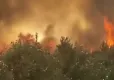 İzmir haber: Bornova ve Buca'da yangın! haberinin görseli
