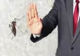 Sinekler bu kokuya dayanamıyor! Doğadan gelen güçle tanışın haberinin görseli