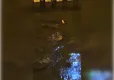 Zonguldak’ta su samuru görüntülendi haberinin görseli