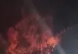 Bursa'daki havai fişek atılması sonucu çıkan yangında 1 kişi tutuklandı haberinin görseli