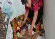 Kastamonu'da havalı tüfekle vurulan köpek felç kaldı haberinin görseli