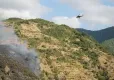 Şarköy'de orman yangını kontrol altına alındı! haberinin görseli