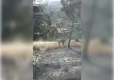 Hatay Antakya'da orman yangını! haberinin görseli