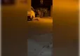 Park yeri kavgası can aldı: Kardeşini öldürdü!  haberinin görseli