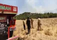 Şırnak'ta örtü ve orman yangınına hava ve kara müdahalesi haberinin görseli