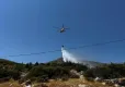 Muğla’da makilik yangını: 1,5 dönüm alan zarar gördü haberinin görseli