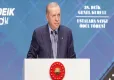 Cumhurbaşkanı Erdoğan: Türkiye barış masalarının aranan aktörü haline geliyor haberinin görseli