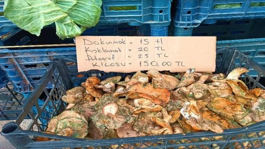 Fiyatı eti geçen çıntar satıcısından ilginç etiket haberinin görseli