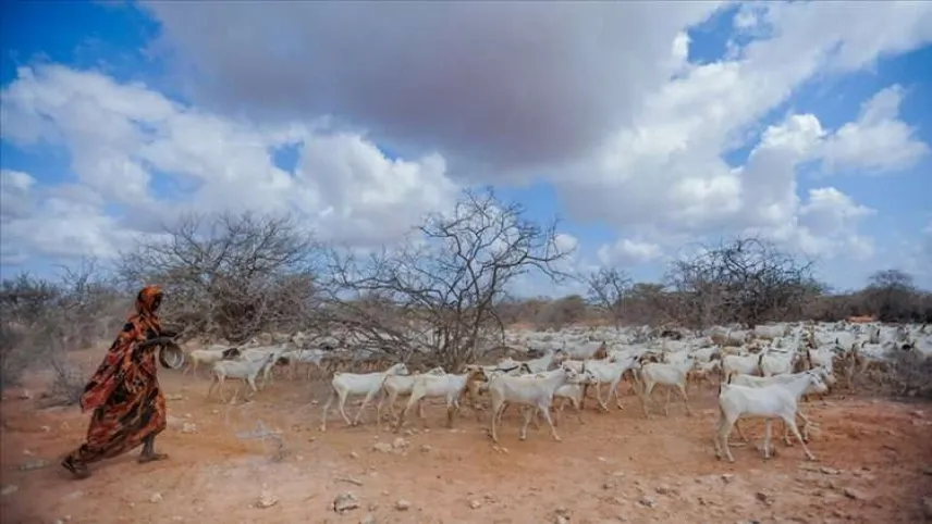 Somali'de göç durdurulamazsa kıtlık riski artacak haberinin görseli