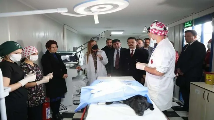 Dokuz Eylül’den sokak hayvanlarına şefkat eli haberinin görseli