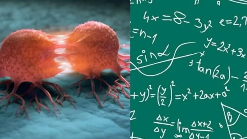 Kanserin şifresi matematikte mi gizli? haberinin görseli