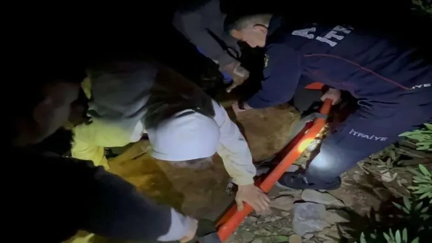 Aydın'da 3 inek uçurumdan düştü haberinin görseli