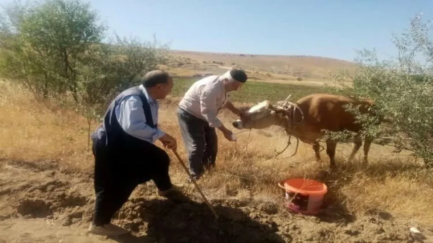 Bayramda kesilmemek için kaçmıştı, 22 gün sonra bulundu haberinin görseli