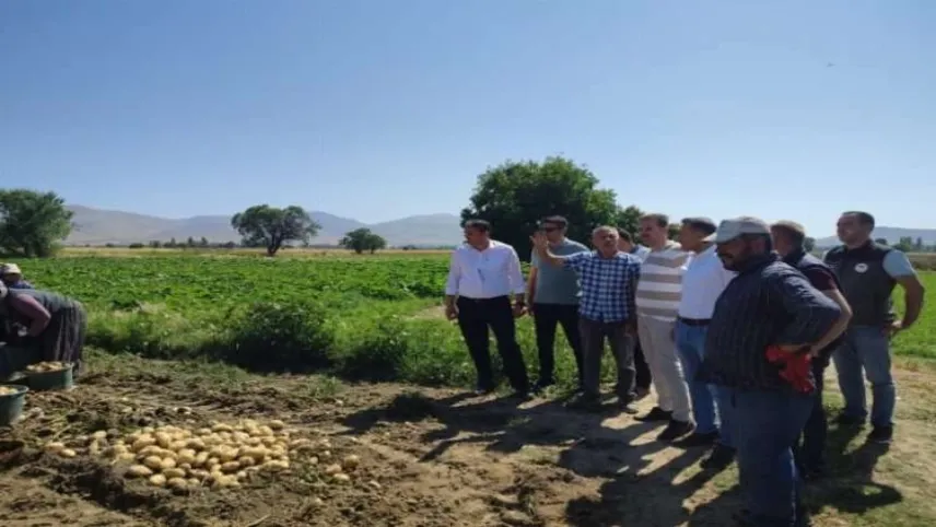 Yağışlar patatesi vurdu: Büyük rekolte kaybı! haberinin görseli