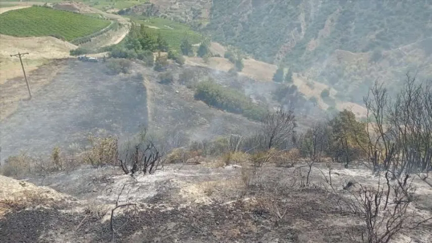 Manisa'da makilik alanda yangın çıktı haberinin görseli