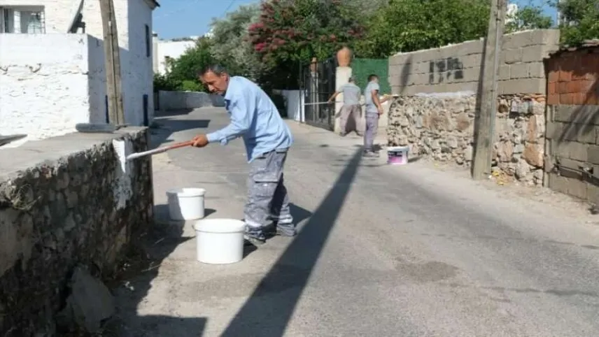 Bodrum'un sokakları mavi ve beyaza boyanıyor haberinin görseli