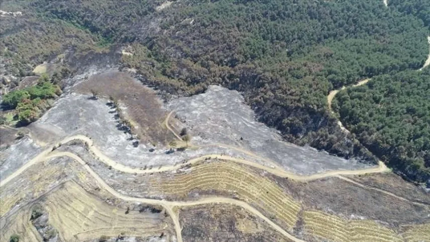 Çanakkale'de çıkan orman yangınında 2 bin 500 hektarlık alan zarar gördü haberinin görseli