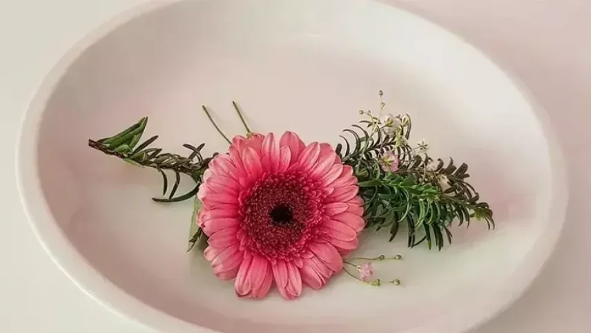 Rüyada tabak görmek ne anlama gelir? Rüyada tabak kırmak ne anlama gelir? haberinin görseli