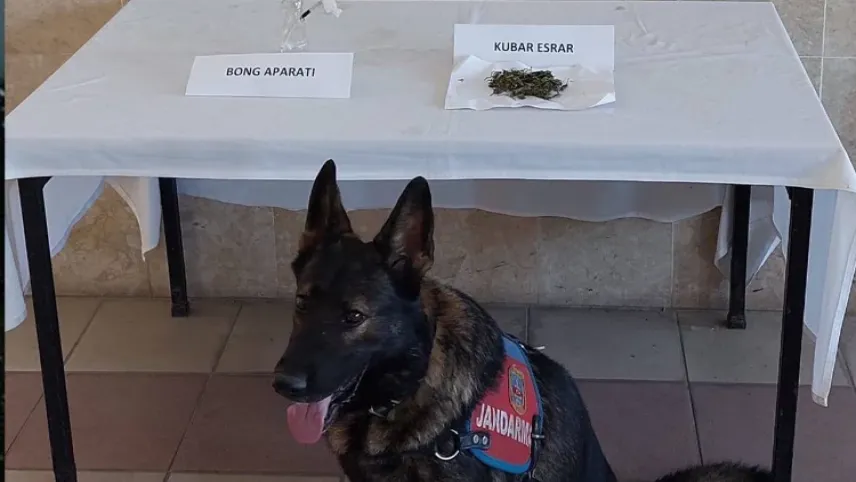 Aydın’ın Nazilli ilçesinde uyuşturucu madde ele geçirildi haberinin görseli