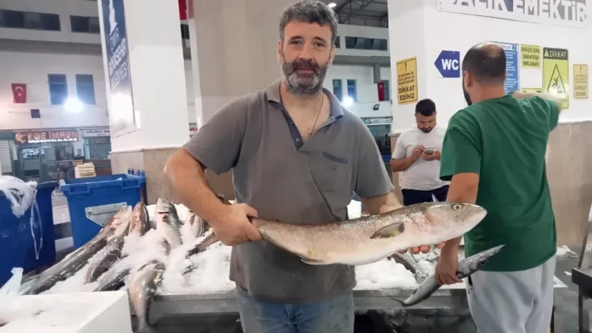 İzmir'de tezgahlar balık ile doldu haberinin görseli