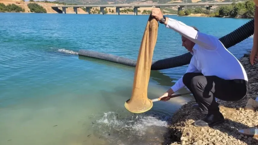 Tunceli’de gölete bir buçuk milyon sazan bırakıldı haberinin görseli
