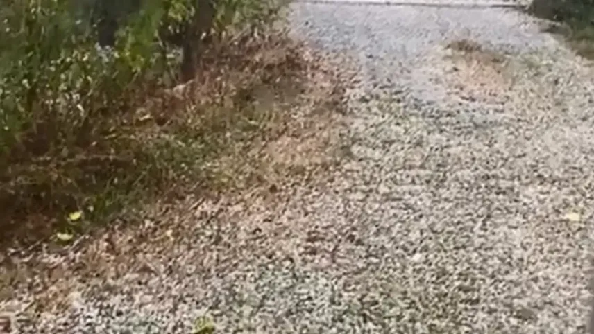 Kastamonu'da dolu yağışı etkili oldu   haberinin görseli