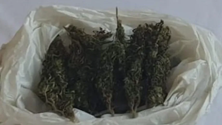 Aydın'da uyuşturucu operasyonu: 5 kilogram uuşturucu ele geçirildi haberinin görseli